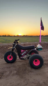 Game Changer LED Whip - Malibu Barbie Pink Single