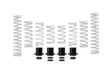 Polaris RZR XP Turbo Stage 2 Spring Kit - By Eibach