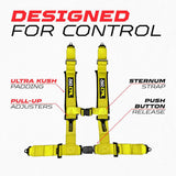 Pro Series 2" & 3" 4 point Harness with push button release