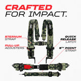 SFI Approved 2" and 3" 5 point Harness, Racing Harness