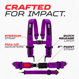 SFI Approved 2" and 3" 5 point Harness, Racing Harness