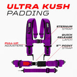 SFI Approved 2" and 3" 5 point Harness, Racing Harness