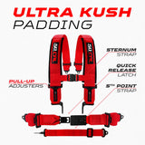 SFI Approved 2" and 3" 5 point Harness, Racing Harness