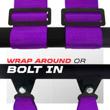 SFI Approved 2" and 3" 5 point Harness, Racing Harness