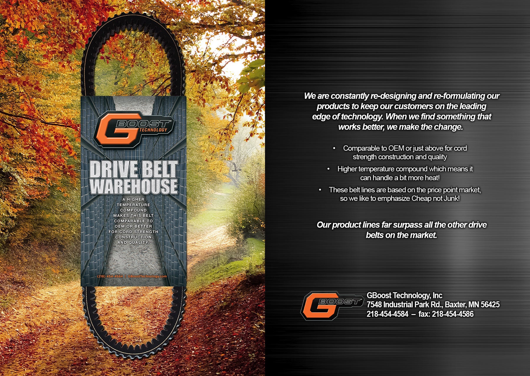 Drive Belt