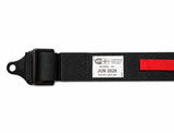Photo - Close Up
