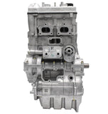 2020-2024 Polaris RZR PRO XP Engine