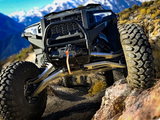 XPEDITION LONG TRAVEL CONTROL ARMS (PRE-INSTALLED) - THUMPER FAB
