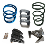 Goldstar Clutch Kit STG2 / RZR XPT (2016)