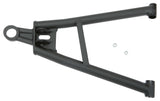 f4ca-5e04cbdf362dc.jpg